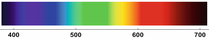 img1.gif